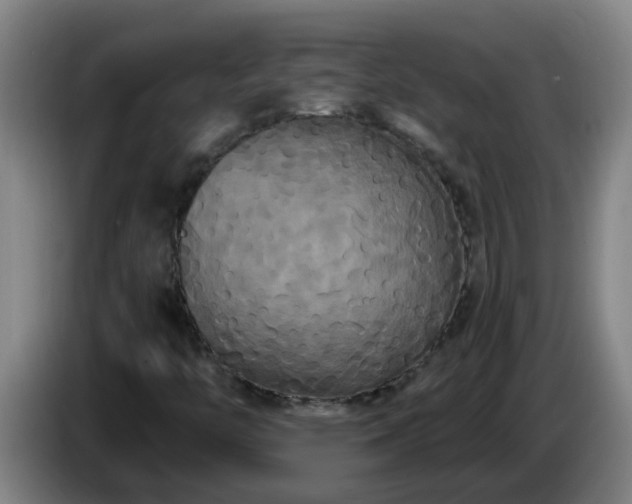 X0000086731446200704201637