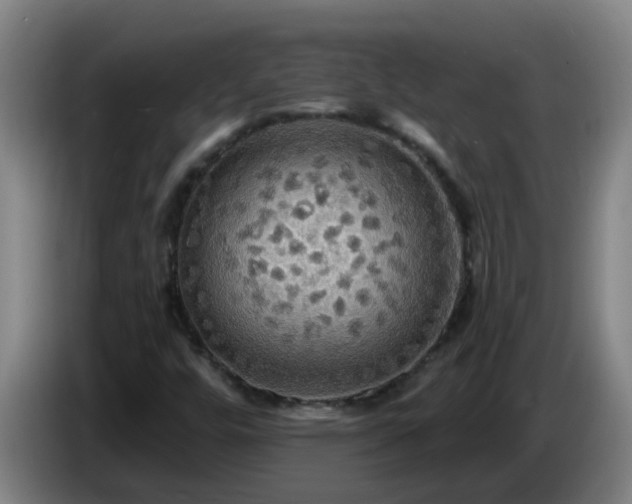 X0000086731448200704201637