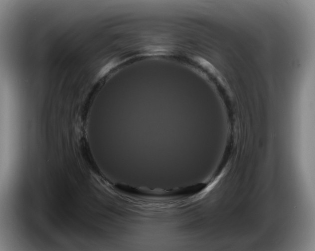 X0000086731449200704201637