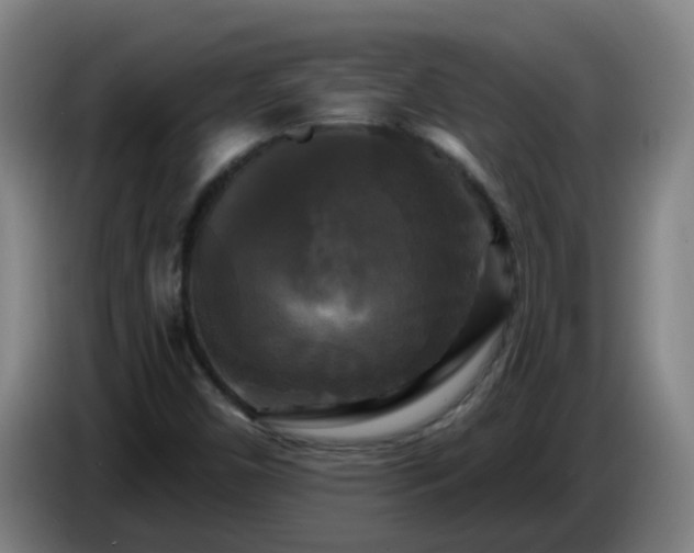 X0000086731450200704201637