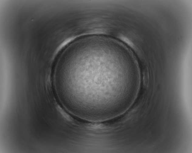 X0000086731452200704201637