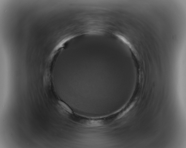 X0000086731453200704201637