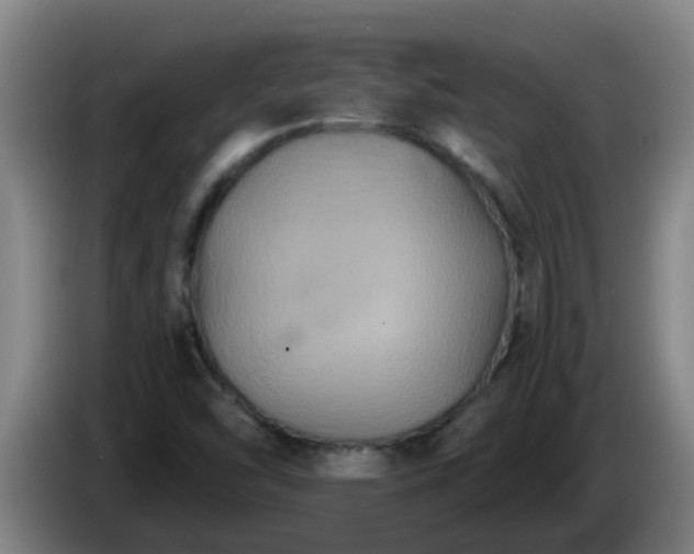 X0000086731454200704201637