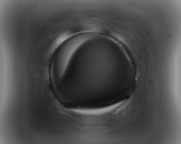 X0000086731455200704201637