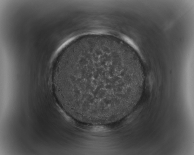 X0000086731456200704201637