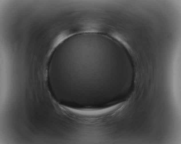 X0000086731459200704201636