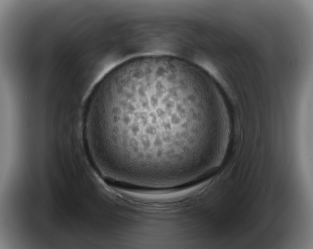 X0000086731460200704201636