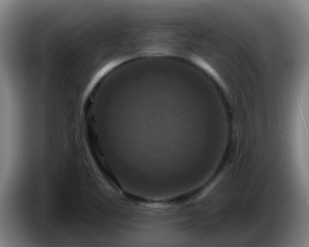 X0000086731461200704201636