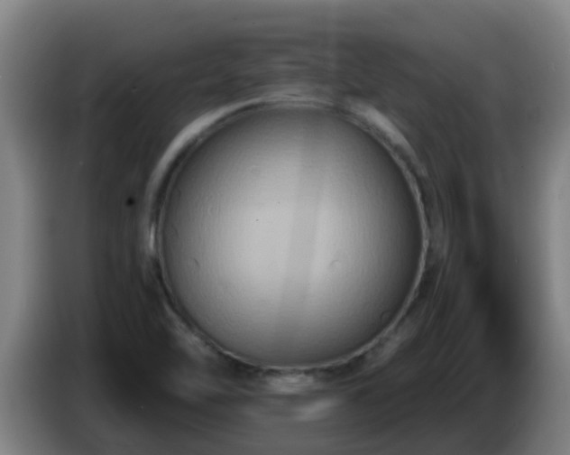 X0000086731462200704201636