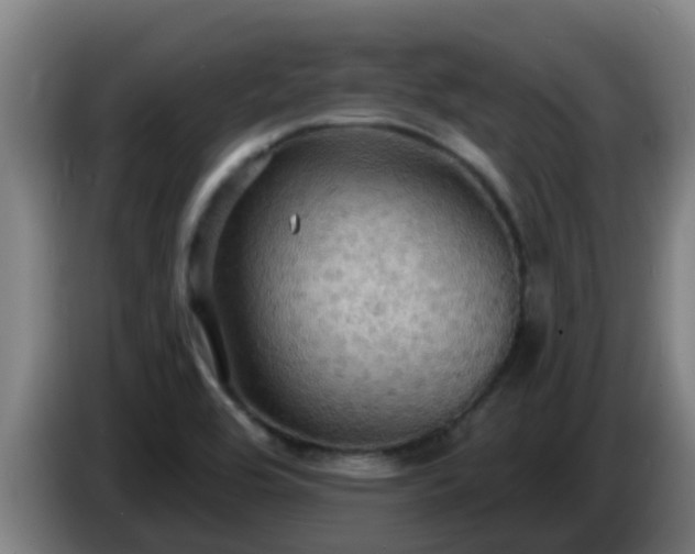 X0000086731464200704201636