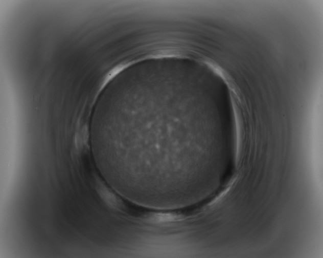 X0000086731465200704201636