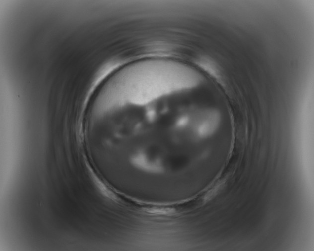 X0000086731466200704201636