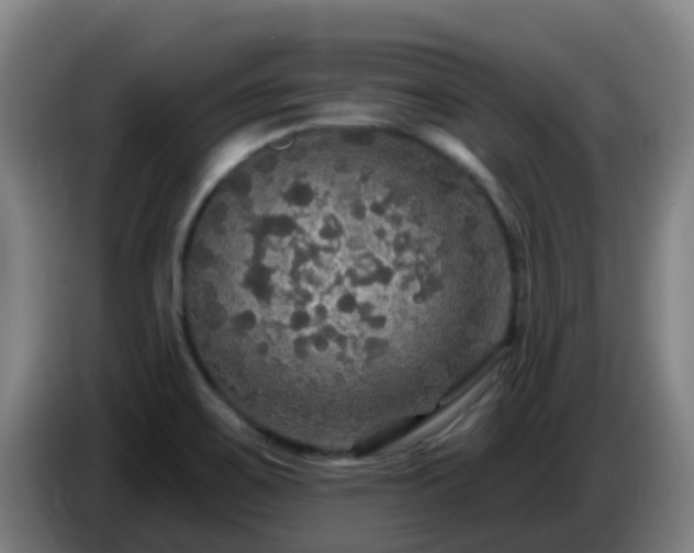 X0000086731467200704201636