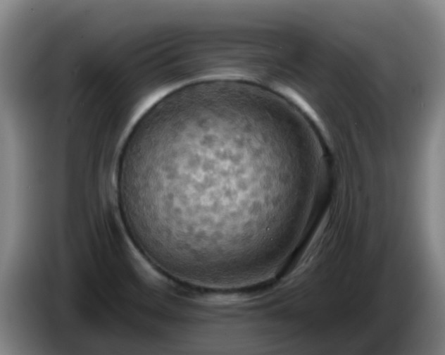 X0000086731468200704201636