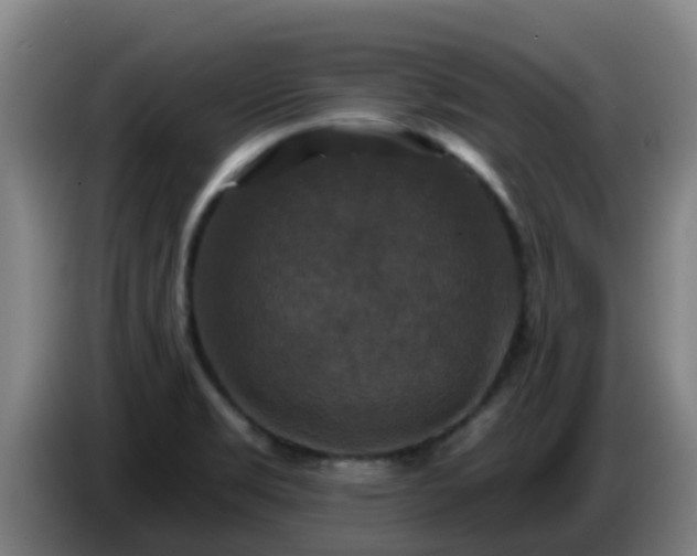 X0000086731469200704201636