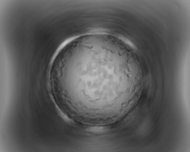 X0000086731470200704201636