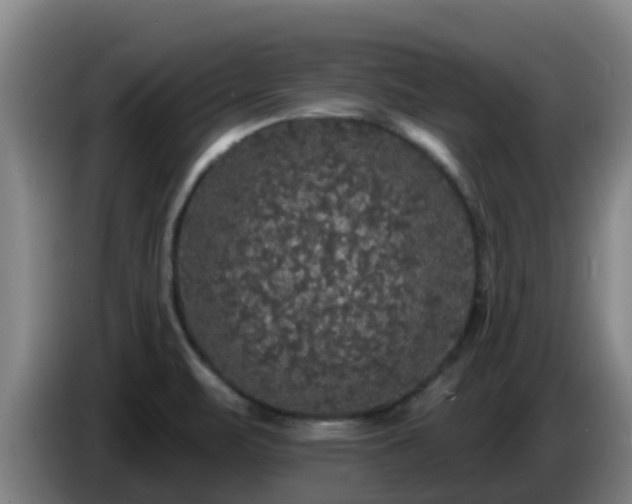 X0000086731471200704201636