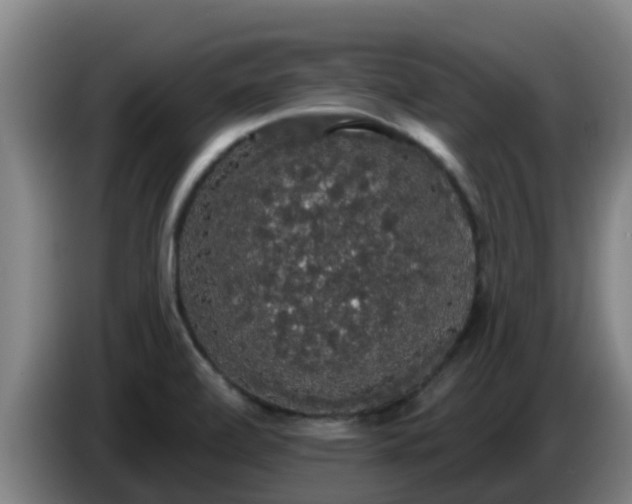 X0000086731472200704201636