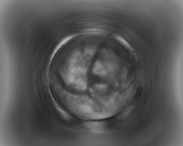 X0000086731474200704201636