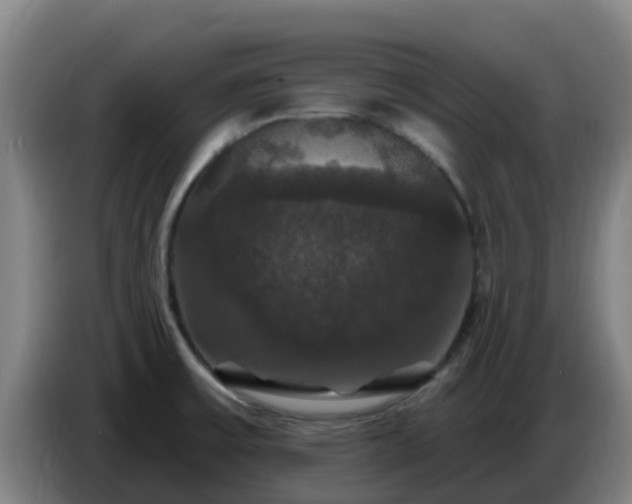 X0000086731475200704201636