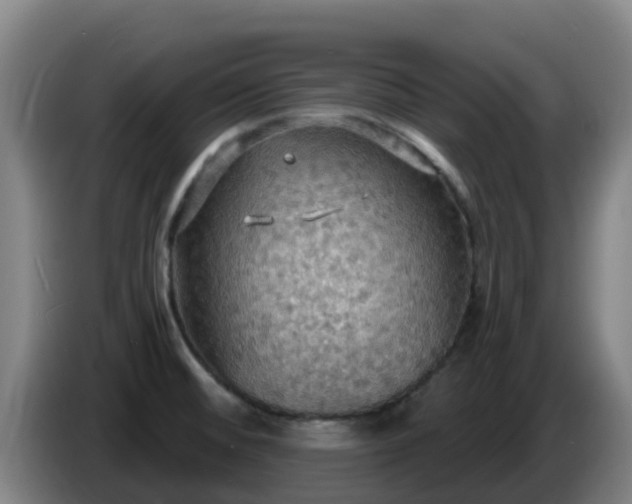 X0000086731476200704201636