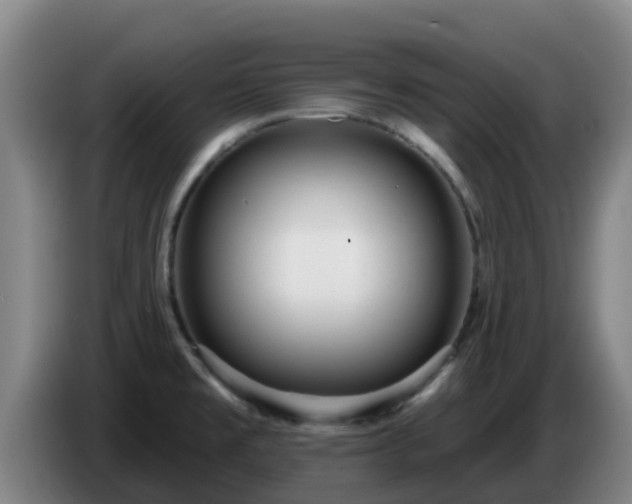 X0000086731477200704201636