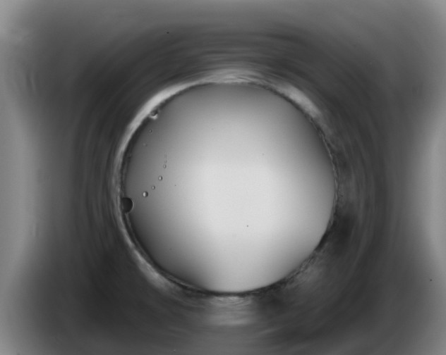 X0000086731478200704201636