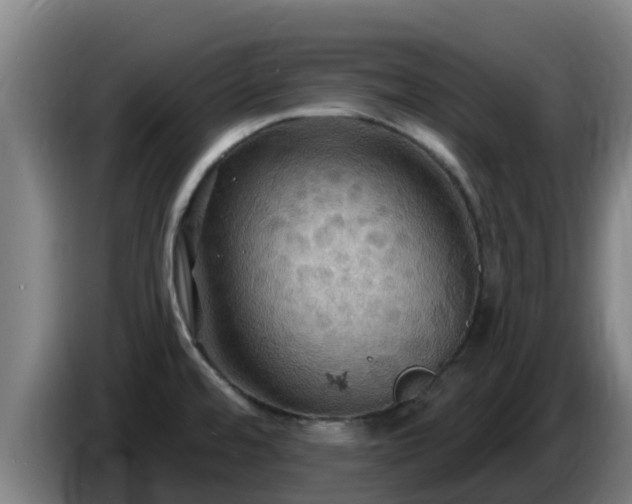 X0000086731480200704201636