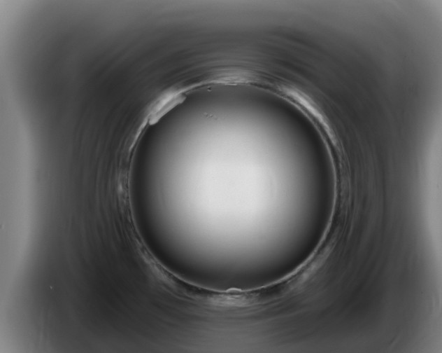 X0000086731481200704201636