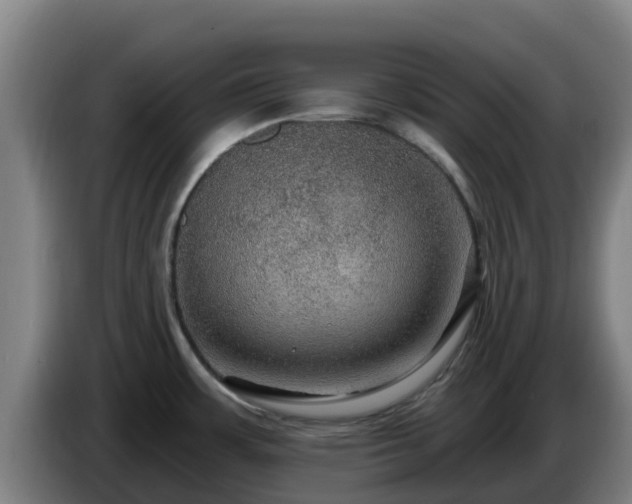 X0000086731483200704201636