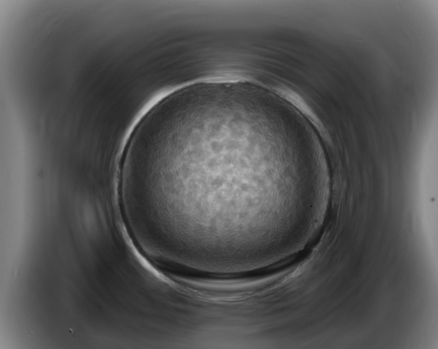 X0000086731484200704201636