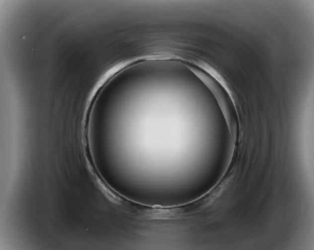 X0000086731485200704201636