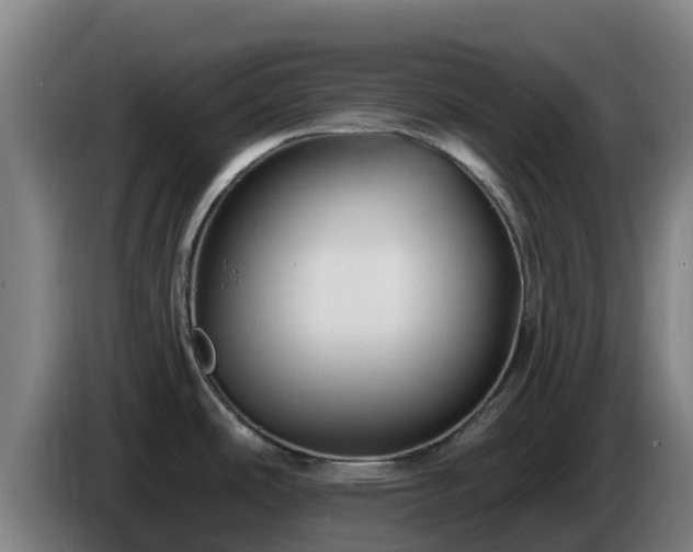 X0000086731486200704201636