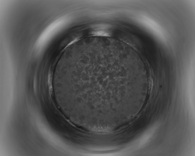 X0000086731487200704201636