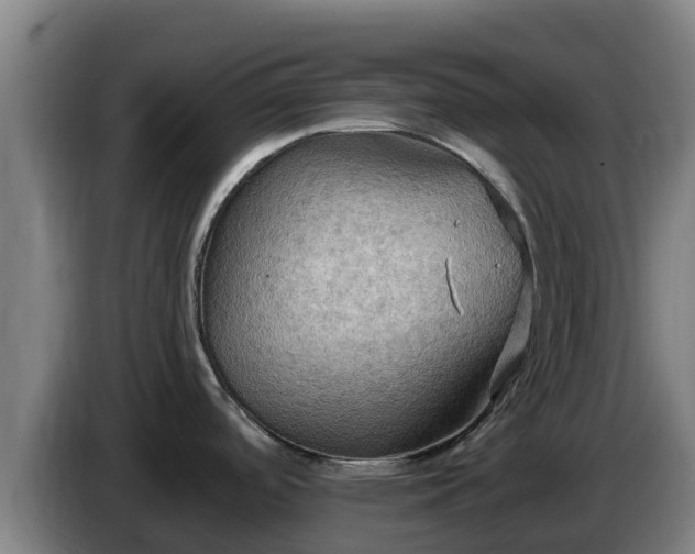 X0000086731488200704201636