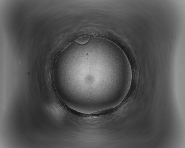 X0000086731489200704201636