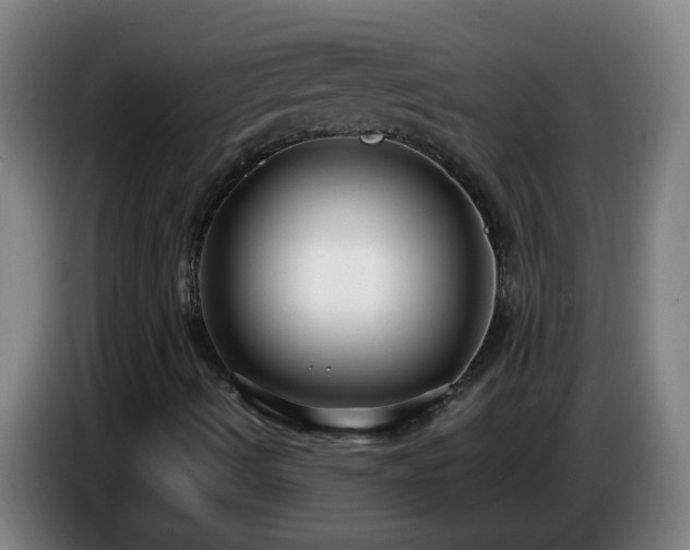 X0000086731490200704201636