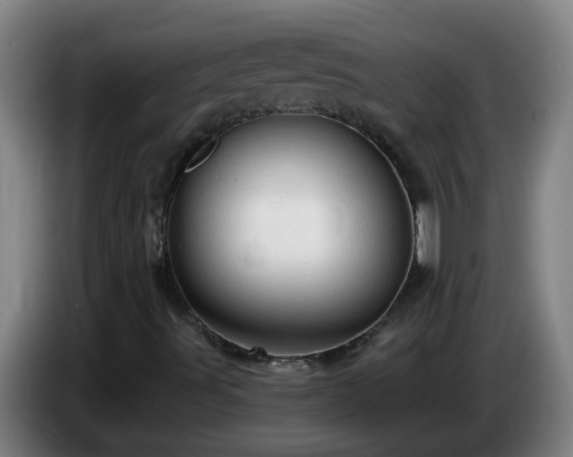 X0000086731491200704201636