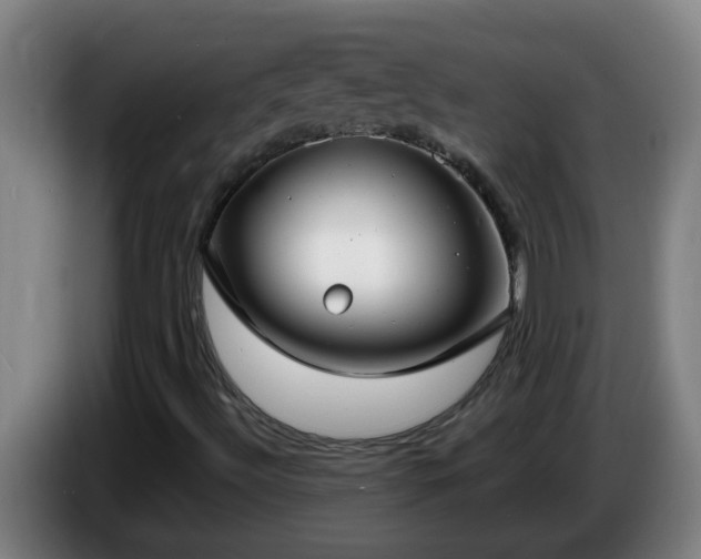 X0000086731492200704201636