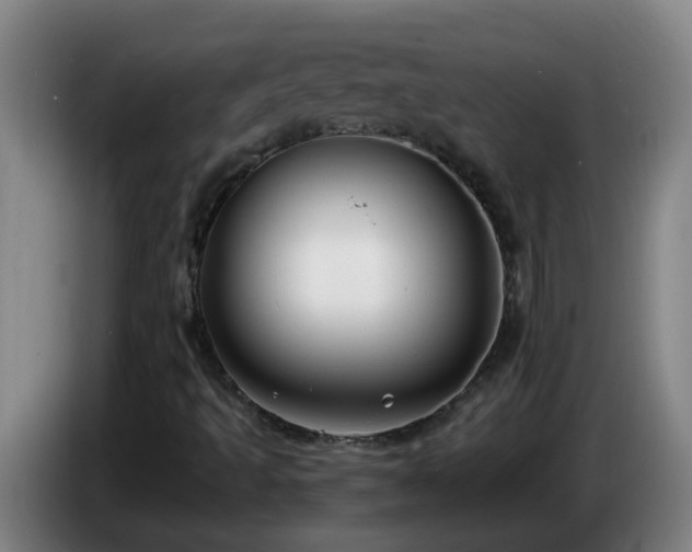 X0000086731493200704201636