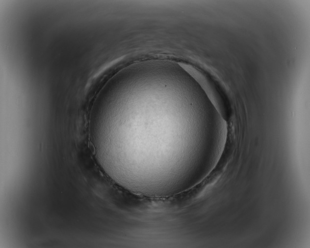 X0000086731494200704201636