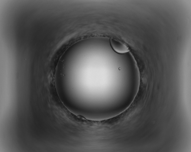 X0000086731495200704201636