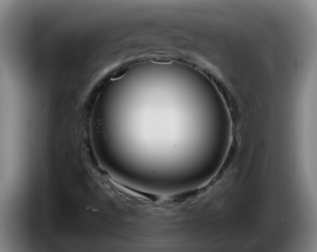 X0000086731496200704201636