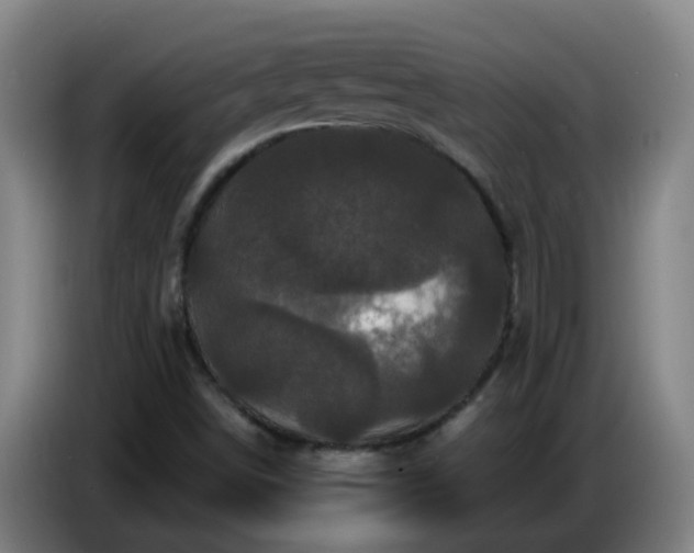 X0000086731498200704201636