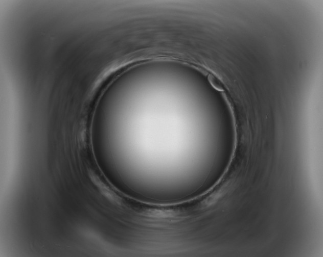 X0000086731499200704201636