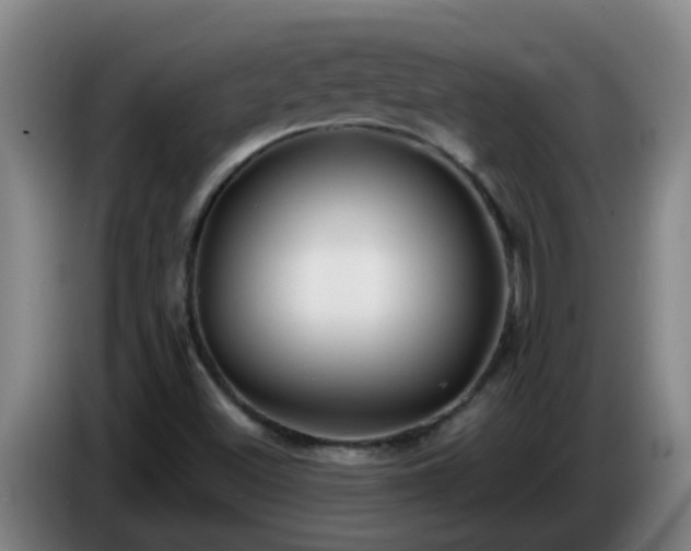 X0000086731500200704201636