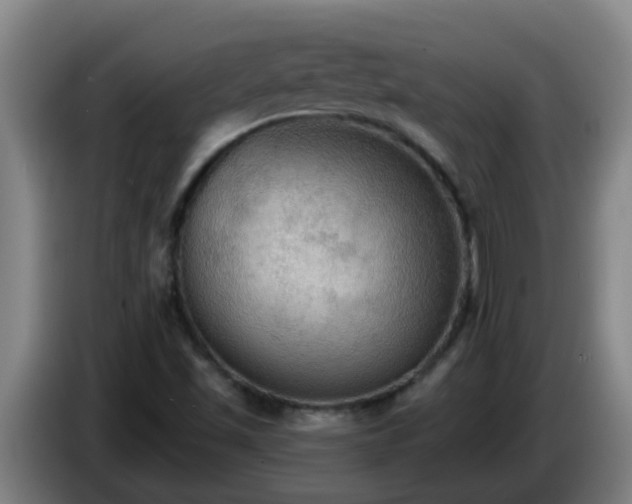 X0000086731501200704201636