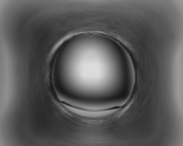 X0000086731502200704201636