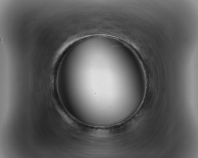 X0000086731503200704201636