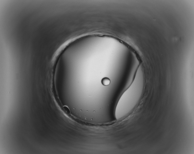 X0000086731504200704201636